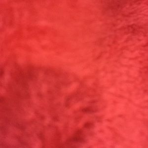 Meet your Posher, Brandi